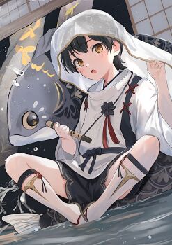 Post 11883868