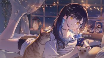 Post 13414192