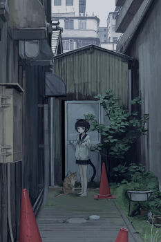 Post 10632178