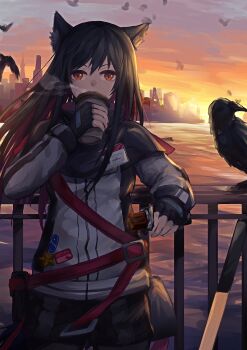 Post 13407452