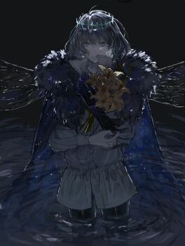 Post 14459679