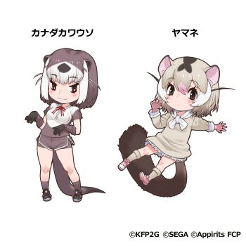 Post 12708035
