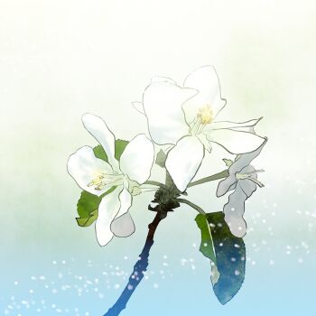 Post 13181911