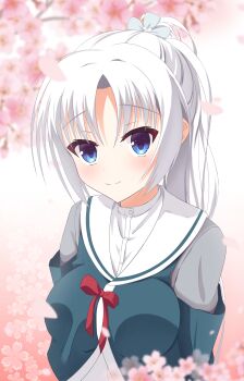 Post 14496251