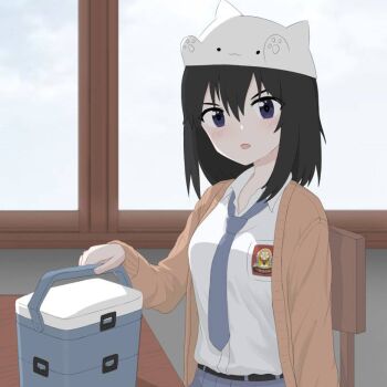 Post 11216061