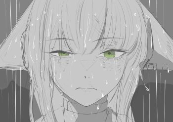 Post 15026391