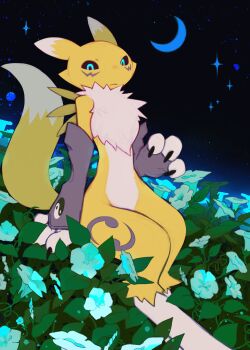 Post 14003653