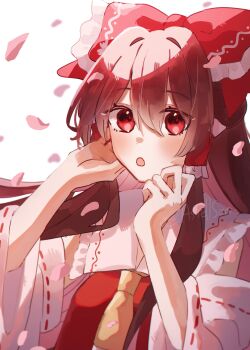 Post 14450691