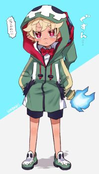 Post 10055043