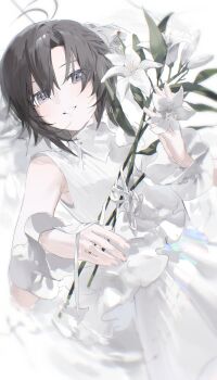 Post 14798317