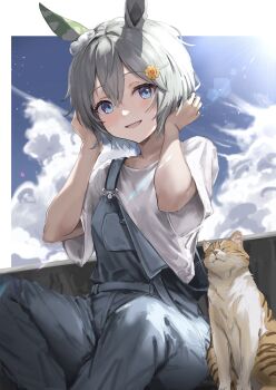 Post 8514061