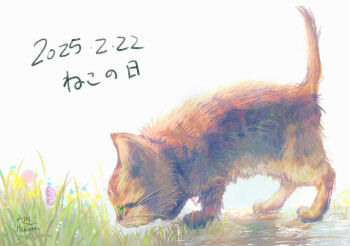 Post 11500062