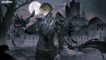 Post 10480713