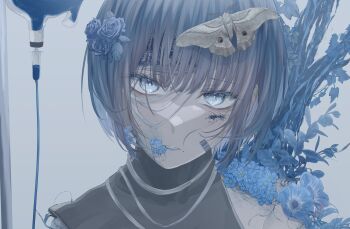 Post 10096444