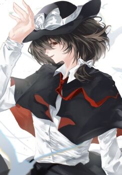 Post 14463795