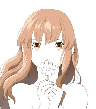 Post 13710254