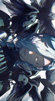 Post 9023087