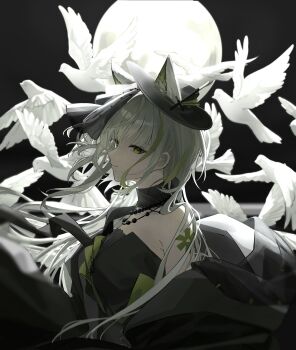 Post 14271519