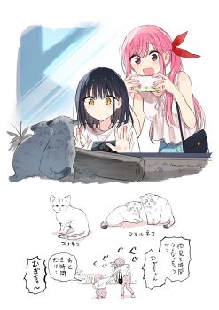 Post 10244544