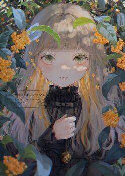Post 15001852