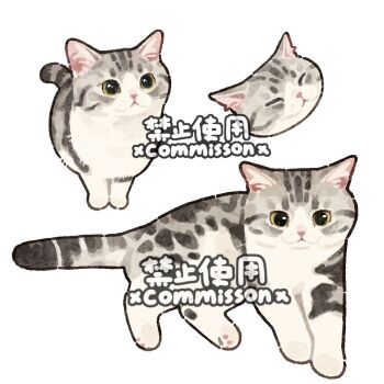 Post 13006517