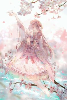 Post 9251497