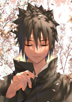 Post 11960455