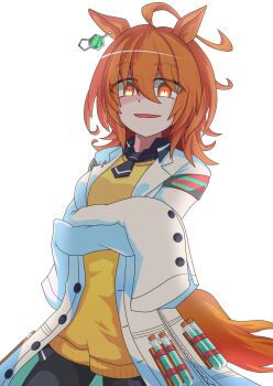 Post 11244545