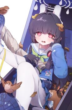 Post 11678019