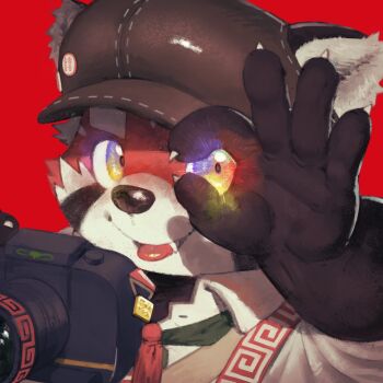 Post 13110686