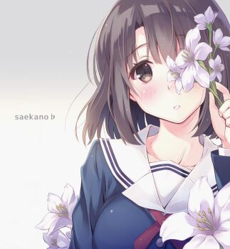 Post 13798667