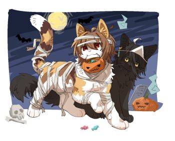 Post 14048894