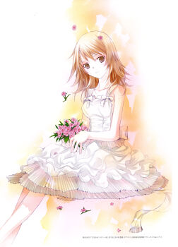 Post 2450663