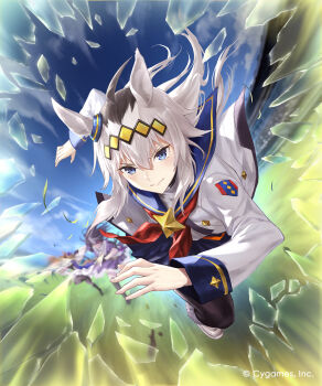 Post 12768466