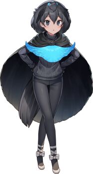 Post 11369014