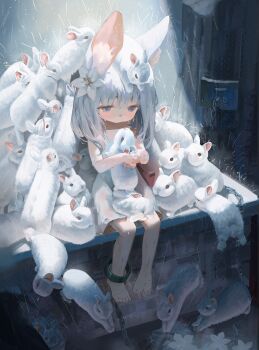 Post 12624977