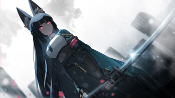 Post 10808805