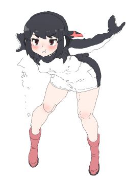 Post 11951436