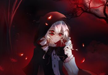 Post 14990063