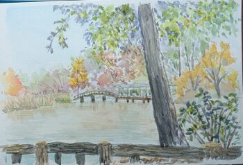 Post 13338228