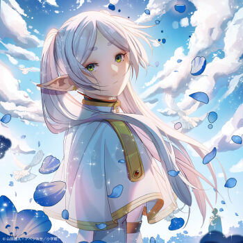 Post 10565219