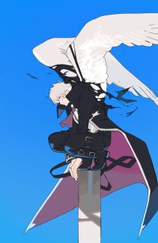 Post 12785965