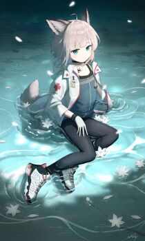 Post 11281138
