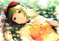 Post 1012039