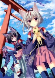 Post 1051225