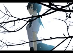 Post 101263