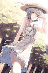Post 1060518