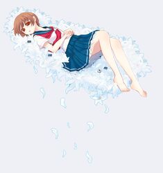 Post 1071243