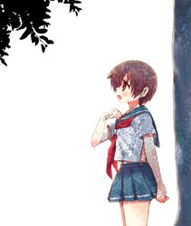 Post 1071239