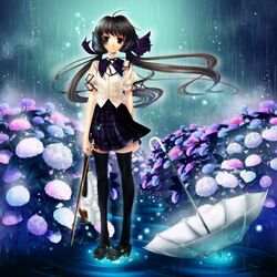 Post 1072384